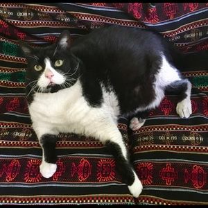 Meet your Posher, Marta